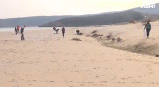 Десетки любители на природата впрегнаха сили за да почистят плаж