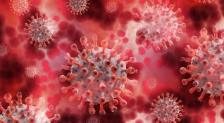 Нов вариант на коронавируса е открит в Южна Франция Това