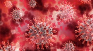 Високи нива на Т клетки след преболедуване на обикновена настинка могат