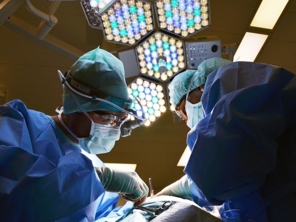 Хирурзи успешно са трансплантирали сърце на генетично модифицирано прасе на