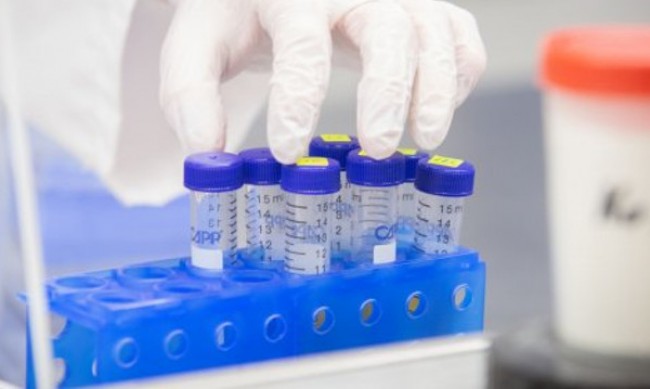  Без PCR тест за влизане в Швеция