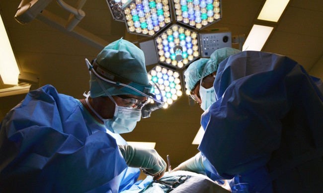 Лекари трансплантираха бъбреци от прасе на човек