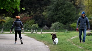 Собствениците на кучета във Великобритания са предупредени да избягват крайбрежните
