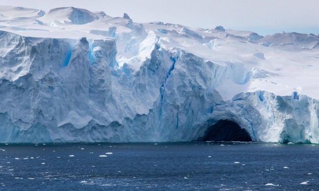 Глобалното затопляне съсипва екосистемата на Антарктика