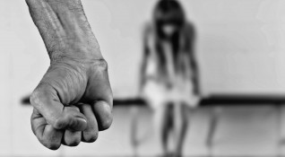 Няма ясна посока и цел за справяне с домашното насилие