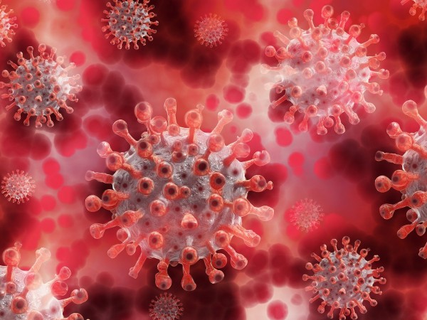 Коронавирусът е предразположен към многоетапна мутация в човешкото тяло, чийто