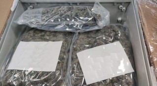 Над 17 кг марихуана бяха открити от митнически служители в