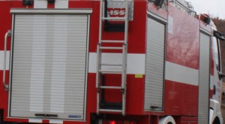 Пожар пламна в зеленчуковата борса при село Кърналово предава Нова