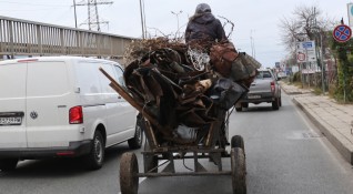 Забрана на движението на коне с каруци в цяла София