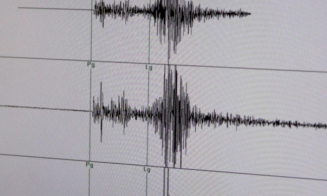 Земетресение с магнитуд 3,1 по Рихтер в района на Якоруда