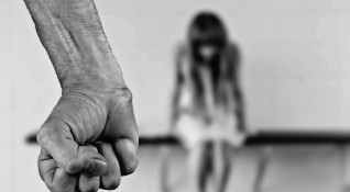 Данни на фондация Анимус показват че случаите на домашно насилие