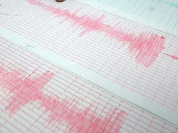 Земетресение с магнитуд 4,6 по Рихтер е било регистрирано рано