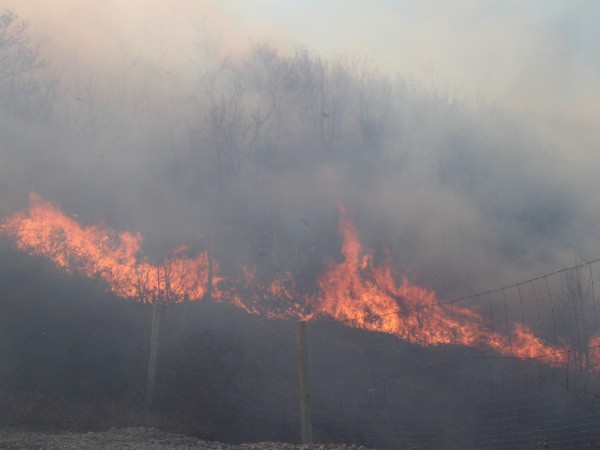 Пожар унищожи 85 декара широколистна гора в землището на село