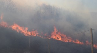 Пожар унищожи 85 декара широколистна гора в землището на село