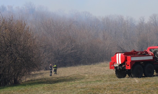 Пожар горя край Жеравна, пожарникари спасиха 100 декара гора