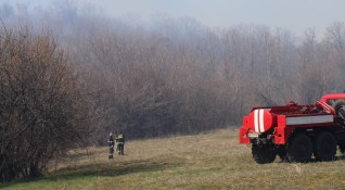 Пожарникари и горски служители са спасили 100 декара гора при