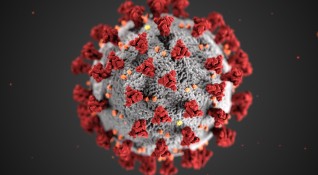 683 са новите случаи на коронавирус в България за последното