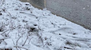 Сняг покри Трънско в днешния неделен ден На парцали снегът