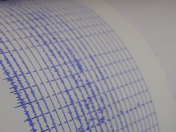 Земетресение с магнитуд 3.3 по скалата на Рихтер е регистрирано