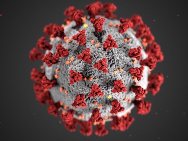 Новите случаи на коронавирусна инфекция в страната са 609, с