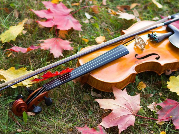 В Париж минувач намери цигулка от края на 19 век