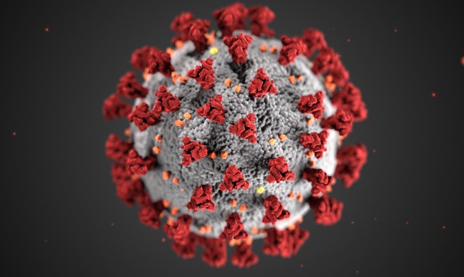 228 нови случая на коронавирус, 77 души в интензивно отделение