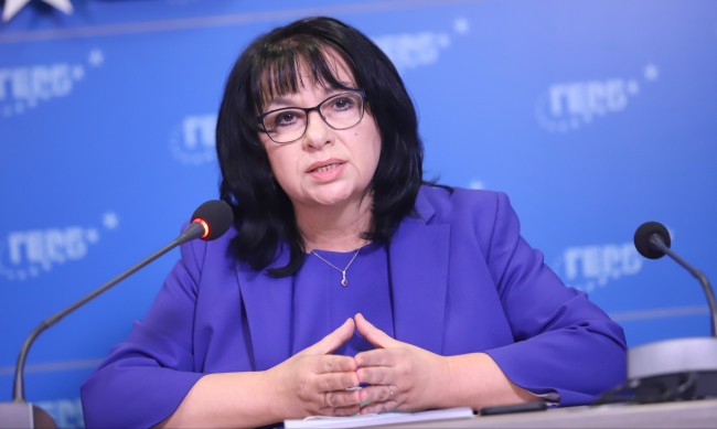 Теменужка Петкова: Опозицията не стои зад протестите