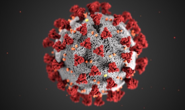 96 нови случая на коронавирус, трима души са починали