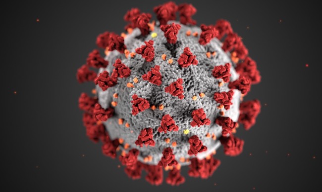 293 нови случая на коронавирус, 13 души са починали 