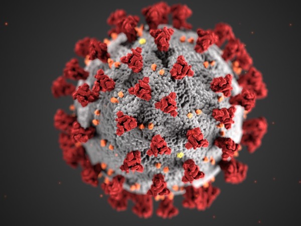 Двеста деветдесет и три нови случая на коронавирус са били