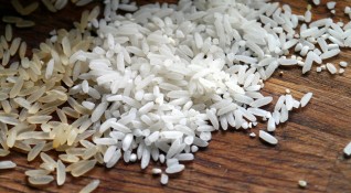Русия обмисля предложение за временна забрана на износа на ориз