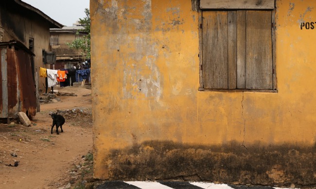 При блъсканица за храна: Загинаха 31 нигерийци