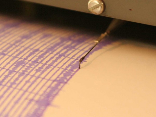 Няколко земетресения бяха регистрирани тази нощ в Северозападна Турция, съобщиха