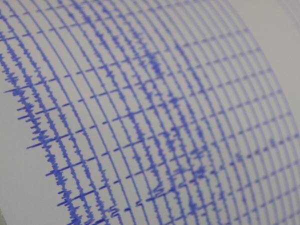 Земетресение с магнитуд 4,2 бе регистрирано в окръг Ван, Източна