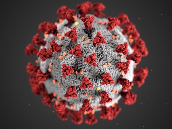 Новите случаи на коронавирус у нас през изминалото денонощие са
