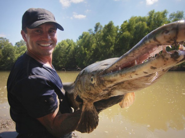 Сирил Шаке пътува от гъмжащите с акули води на Флорида