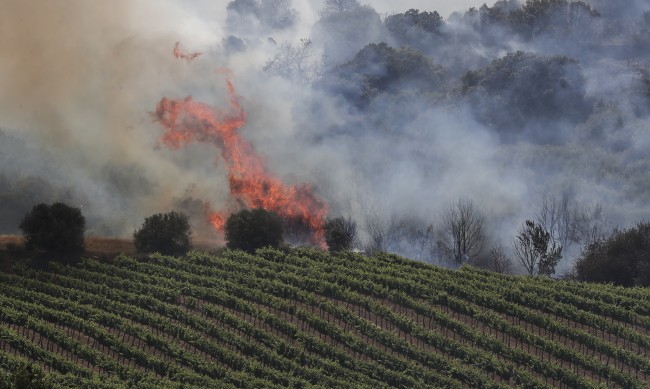 Испания продължава битката с горските пожари