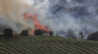 И днес испанските пожарникари продължават да се борят с горските