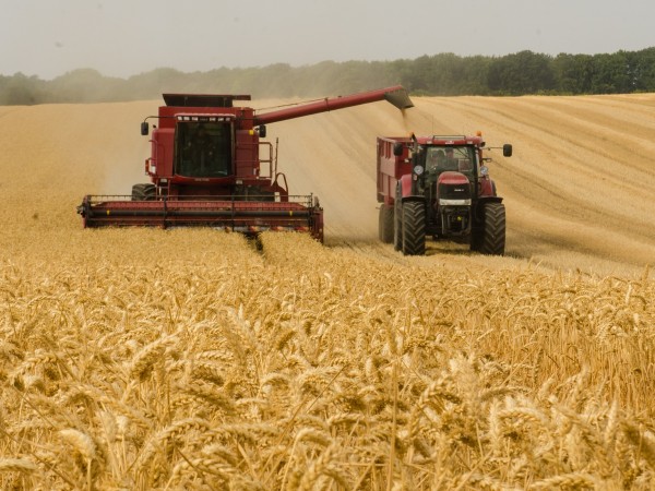 Износът на зърно от Украйна е спаднал с 44 на