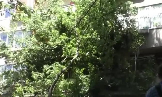 Клон на дърво счупи остъкление на тераса в Стара Загора