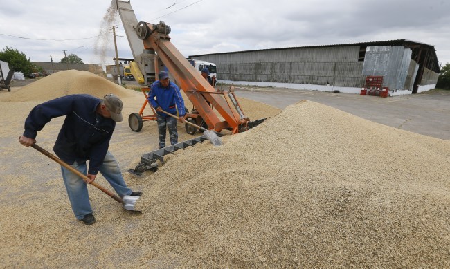 Украйна твърди: Руска атака унищожи 40 тона зърно
