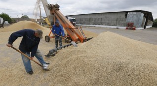 Украинските власти заявиха днес че голямо количество зърно е било