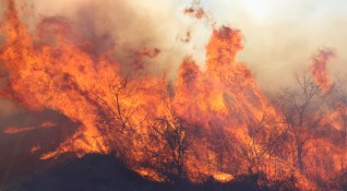 Юли започва горещо за пловдивските пожарникари Жегата е разпалила повече