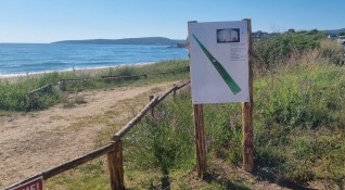 Природозащитници алармираха че на емблематичния Шофьорски плаж в защитена местност