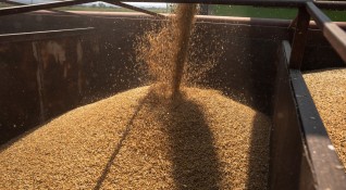 Спадът в цените на множество суровини царевица брашно мед