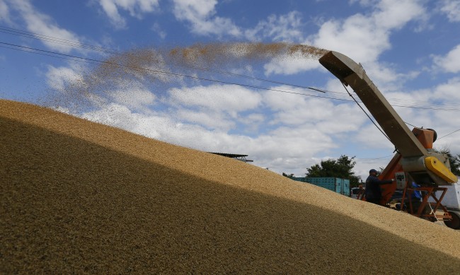 Окупираната Южна Украйна се стреми да продава зърно на Близкия изток