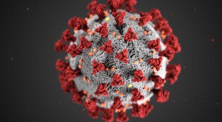 1005 случая на коронавирус са били регистрирани през последното денонощие