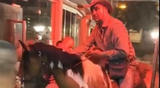 Мъж се опита да влезе с кон в елитна дискотека