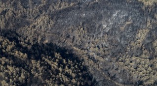 Голям горски пожар се разрази днес близо до известния турски