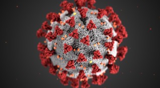1139 е броят на новите случаи на коронавирус у нас